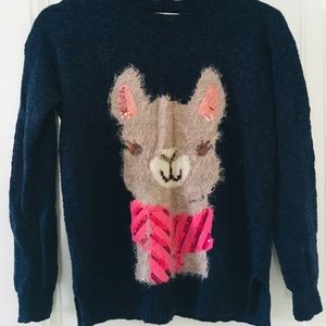 Cute sweater with alpaca!
